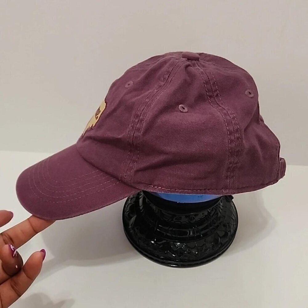Home Free Women's Unisex Purple Hat Gold Texas Patch - Picture 2 of 6